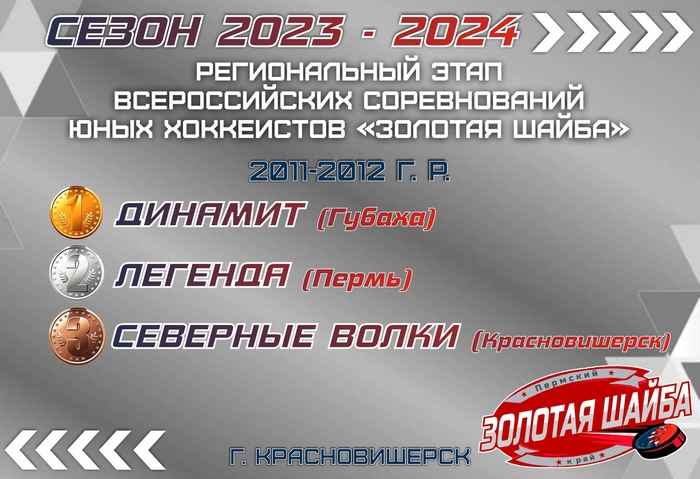 Золотая шайба